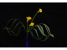 Christel Trica "Blätter mal anders"